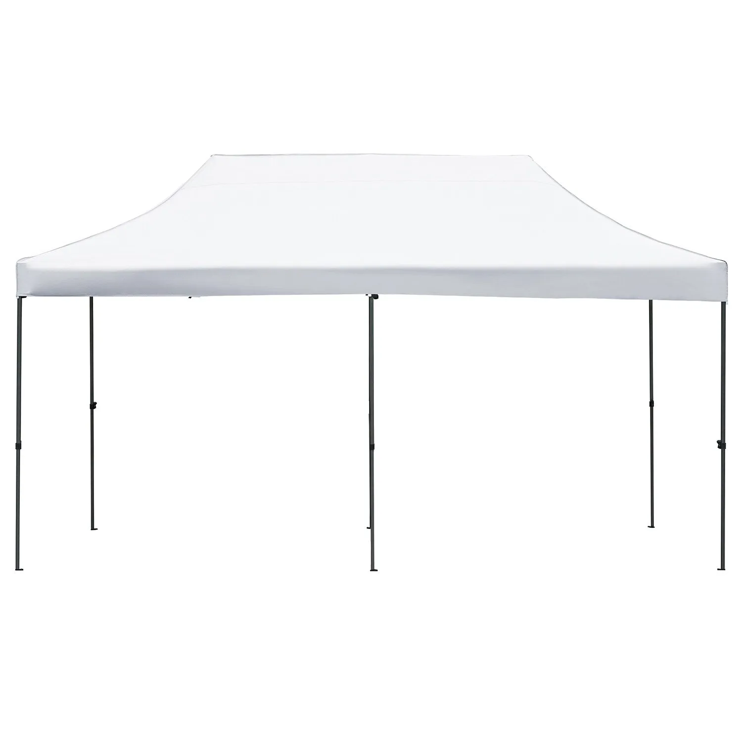 10x20 Heavy Duty Canopy Tent, UV Waterproof, 6 Sidewalls for Wedding