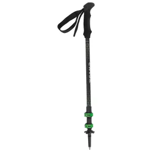 Backcountry 3.0 Poles