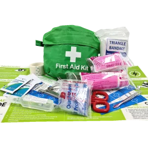 Basic First Aid Kit for Forestry - non serious wounds