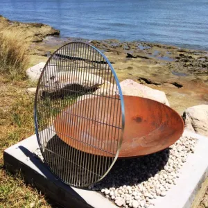 BBQ Fire Pit Grills