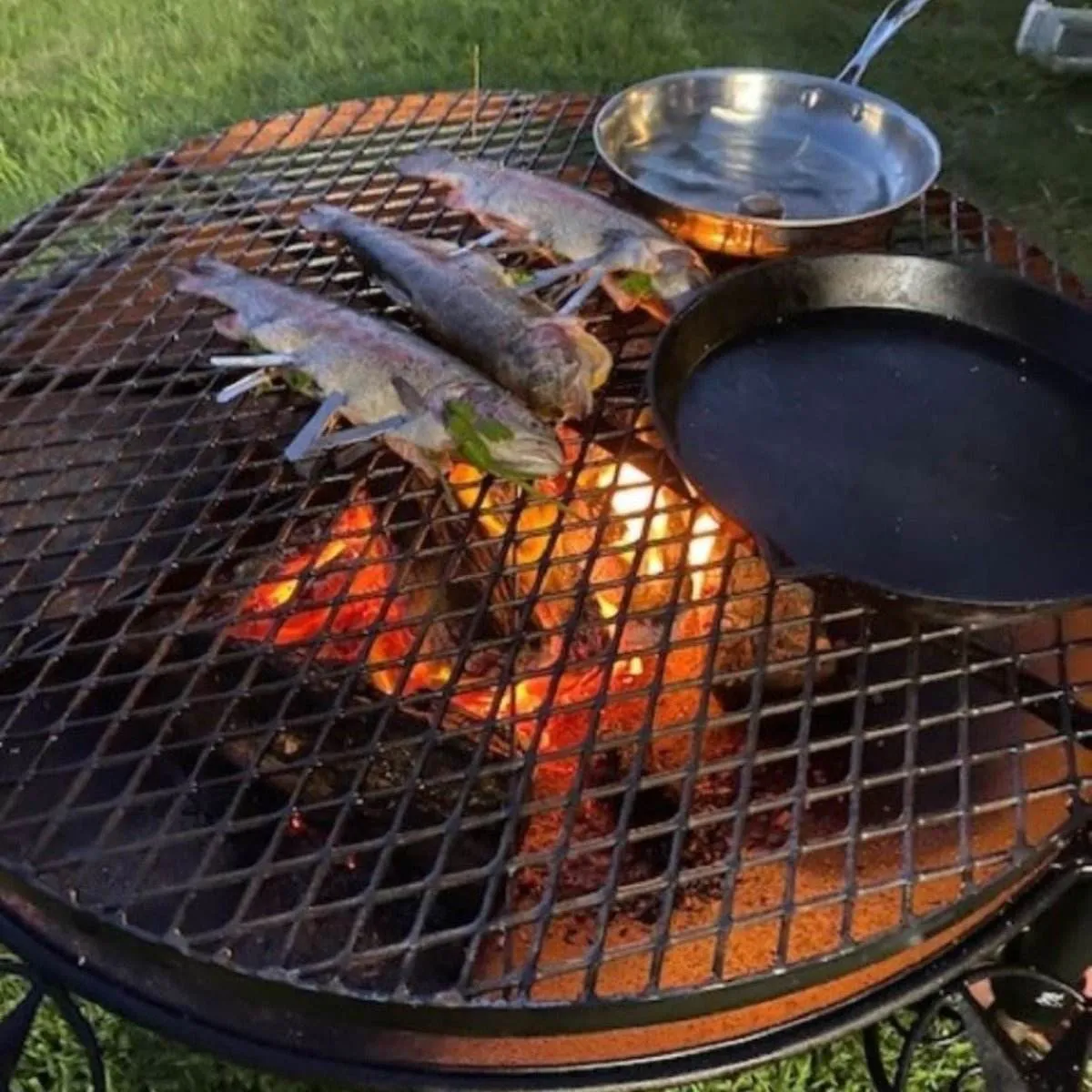 BBQ Fire Pit Grills
