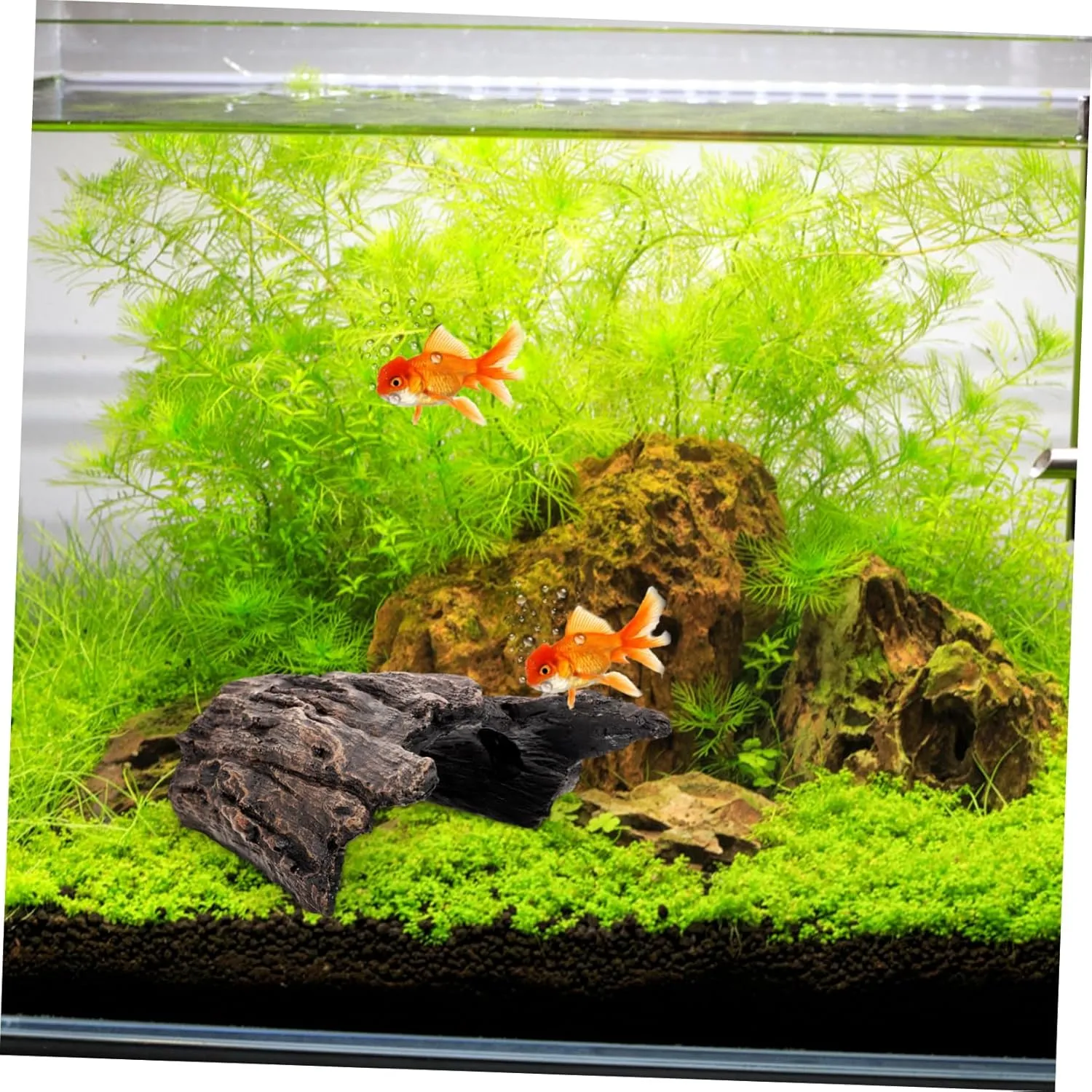BESPORTBLE 5pcs Fish Tank Decor Realistic Shrimp Cave Hideout Aquarium Add-on for Fish Shrimp Habitat Resin Material Easy Setup