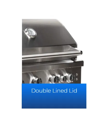Broilmaster B-Series Built-In 25" Stainless Propane Gas Grill Head - BSB253NLP