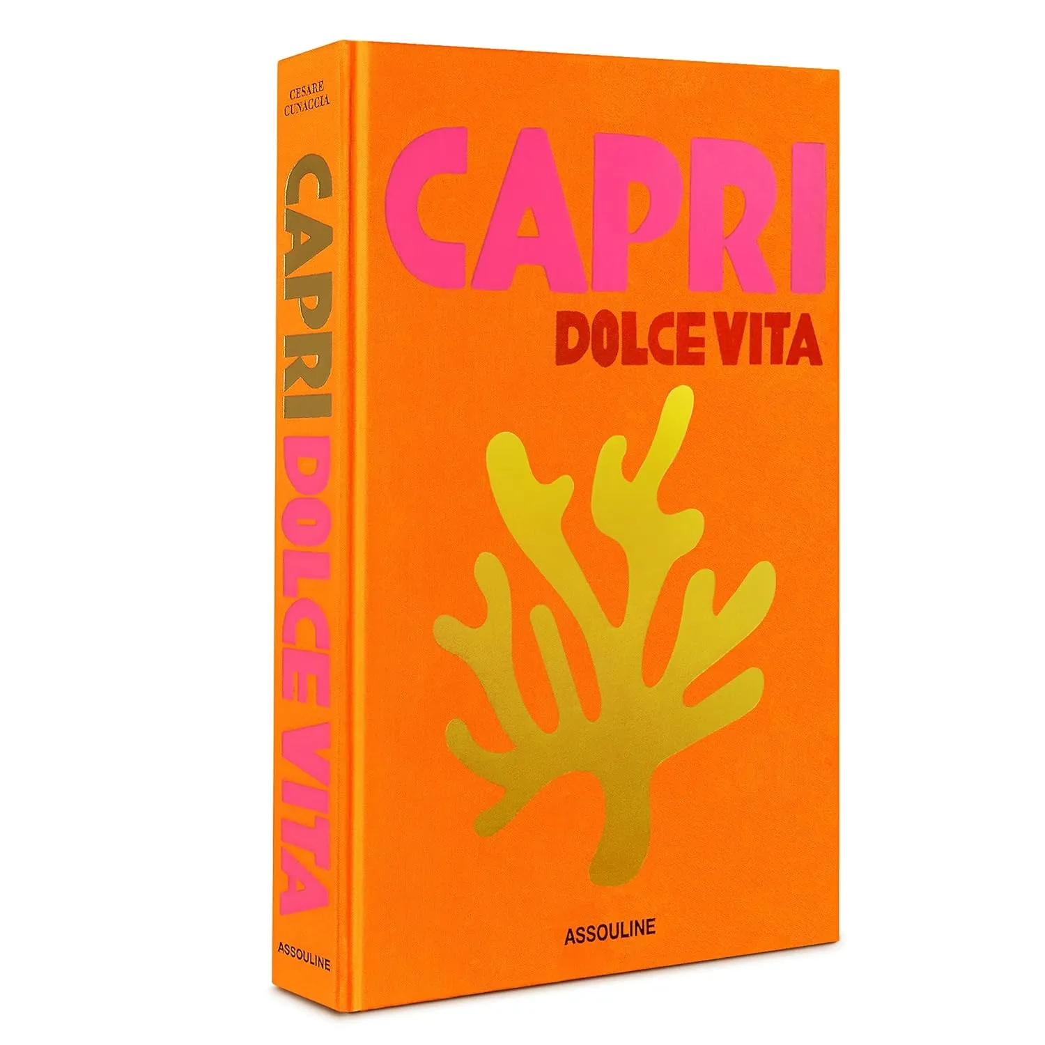 Capri Dolce Vita - Assouline Coffee Table Book Hardcover – May 19, 2023