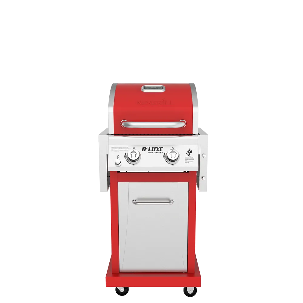 DEluxe 2-Burner Grill