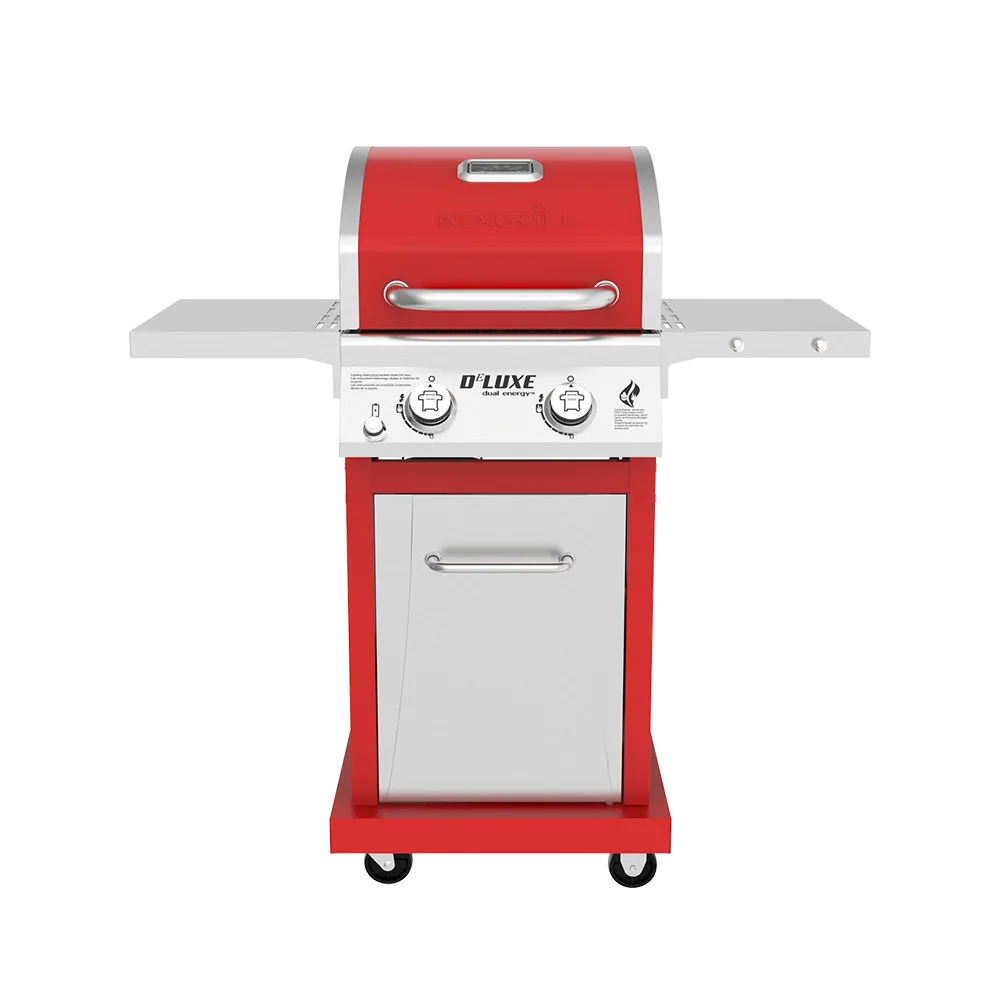 DEluxe 2-Burner Grill