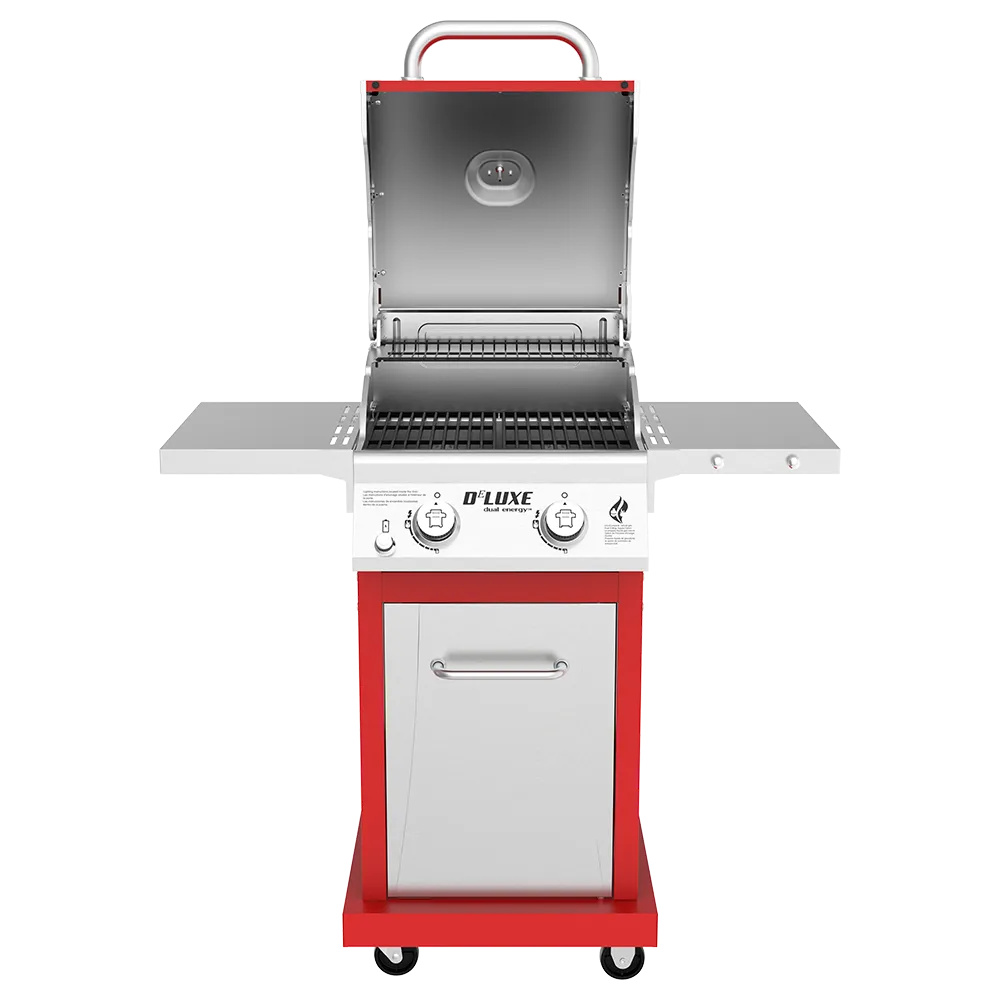 DEluxe 2-Burner Grill