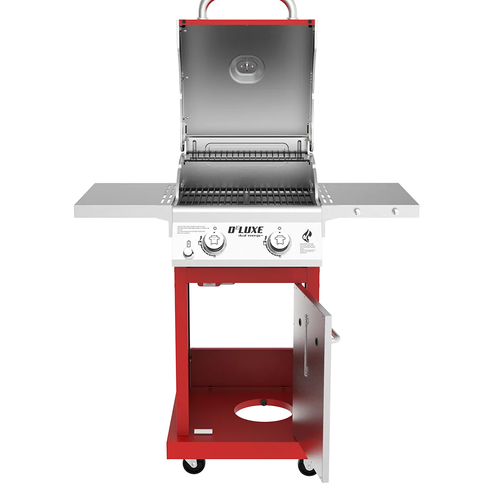 DEluxe 2-Burner Grill