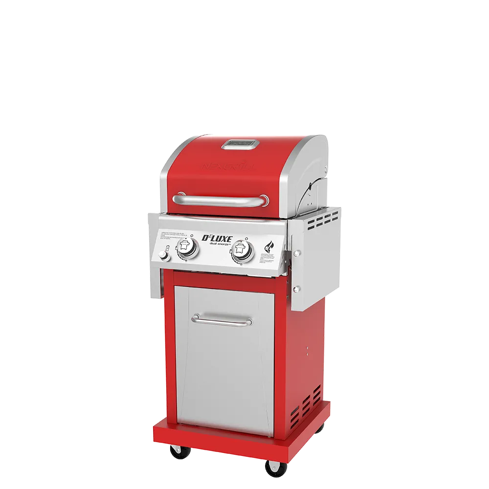 DEluxe 2-Burner Grill