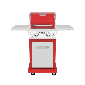 DEluxe 2-Burner Grill