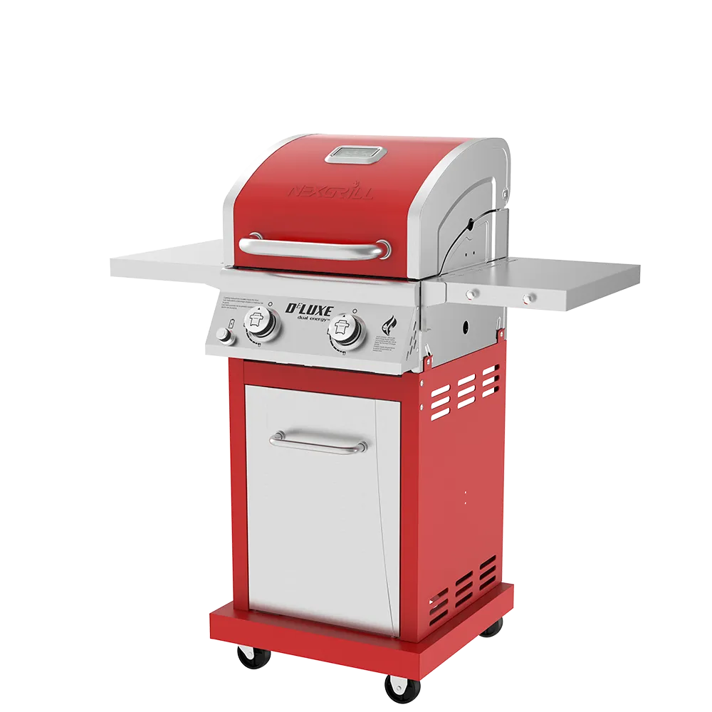 DEluxe 2-Burner Grill
