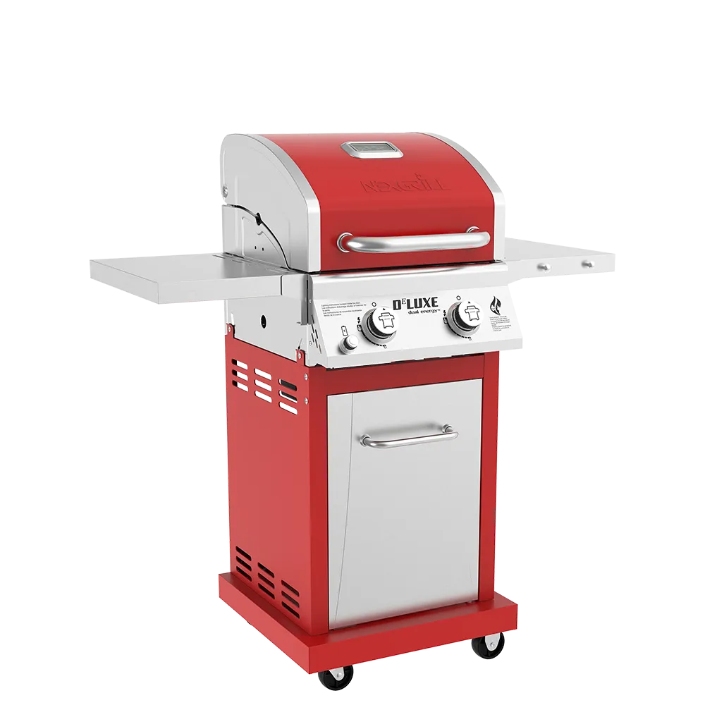 DEluxe 2-Burner Grill