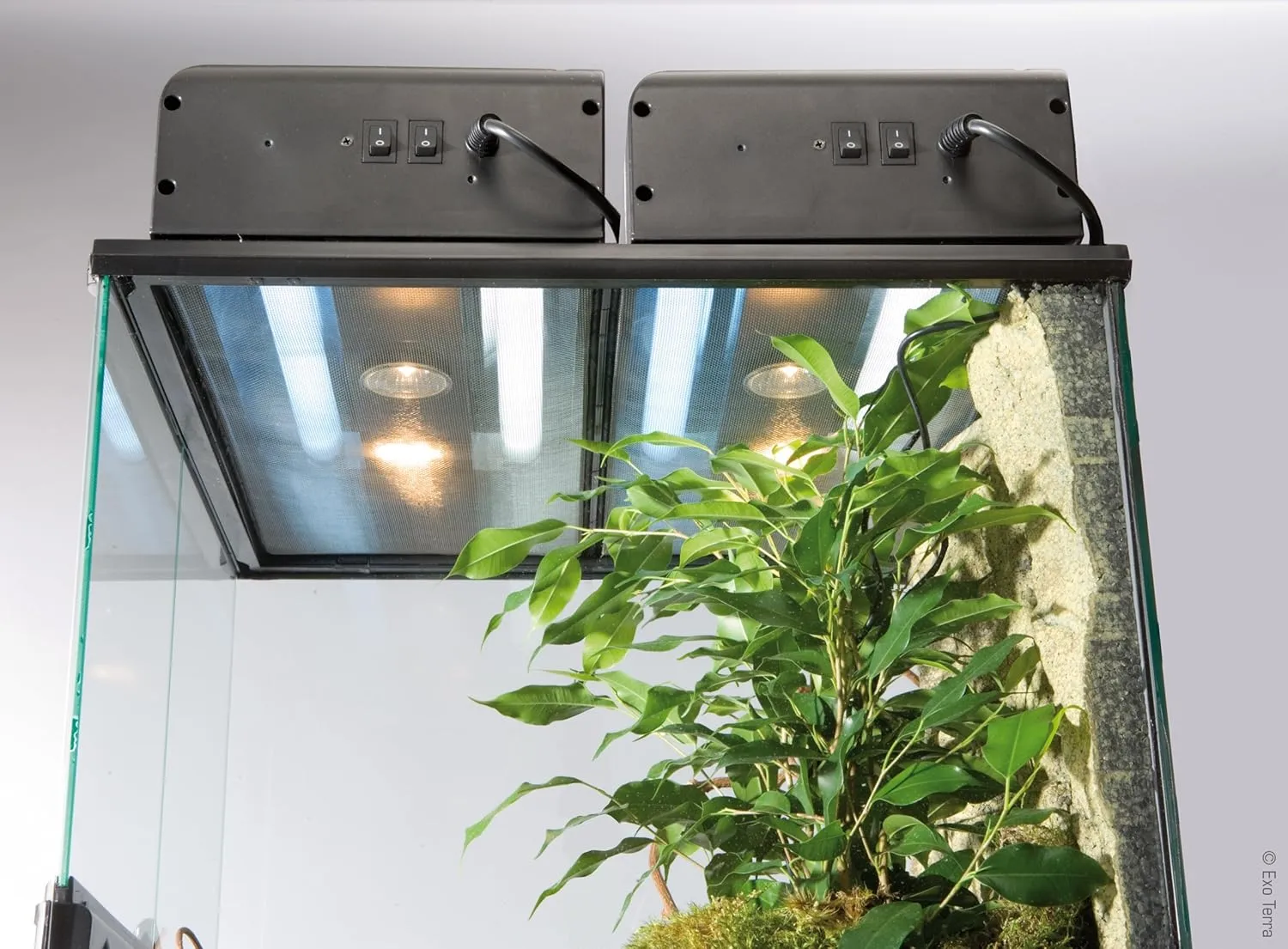 Exo Terra Dual Top UV Light & Basking Spot Canopy for Reptile Terrariums, PT2232