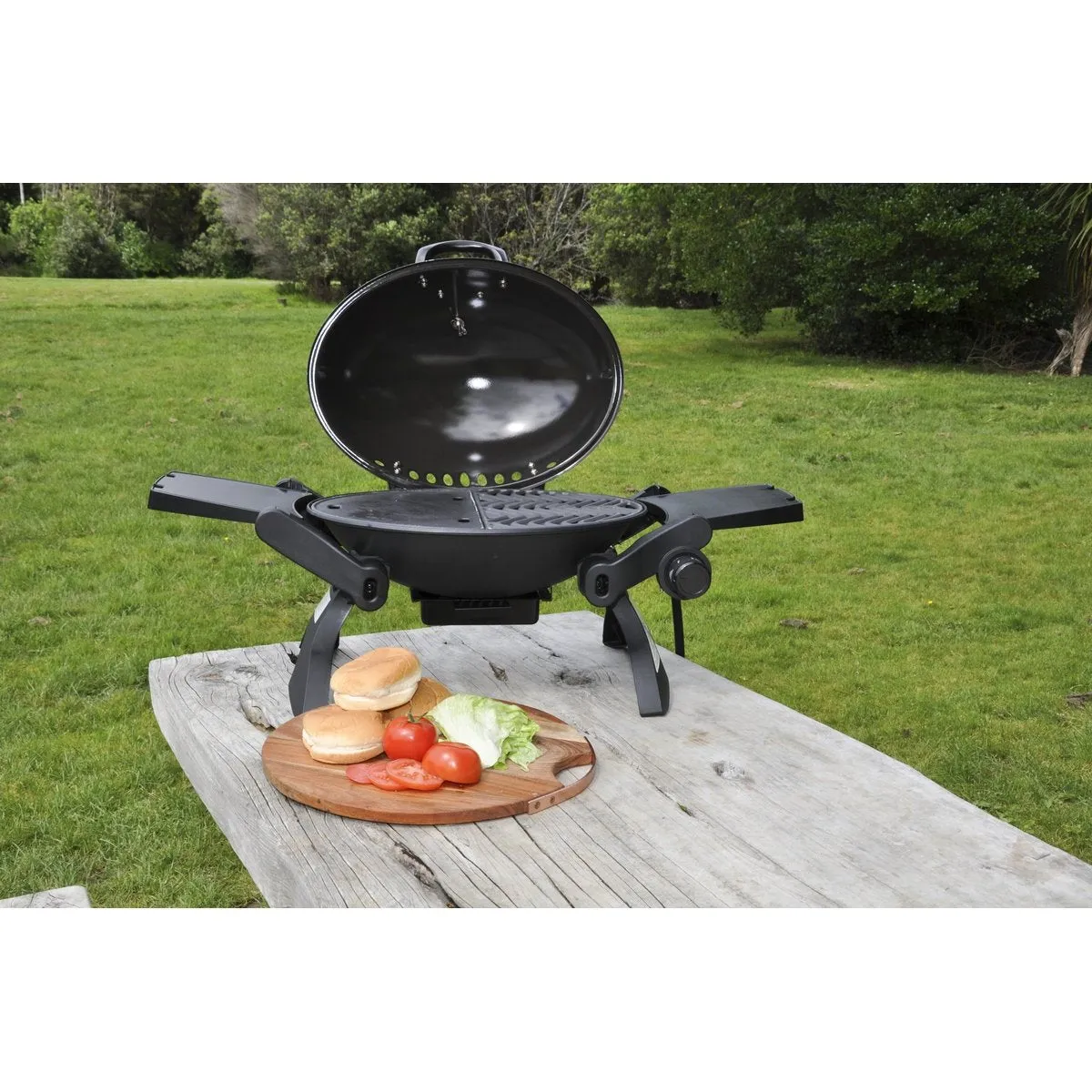 Festiva Party Grill Portable Gas BBQ Set - Black