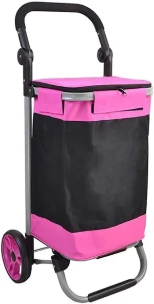 Folding Shopping Cart, Folding Shopping Trolley with 2 Wheels Shopping Cart Home Portable Grocery Supermarket Shopping Cart Elderly Grocery Utility Carts(A)
