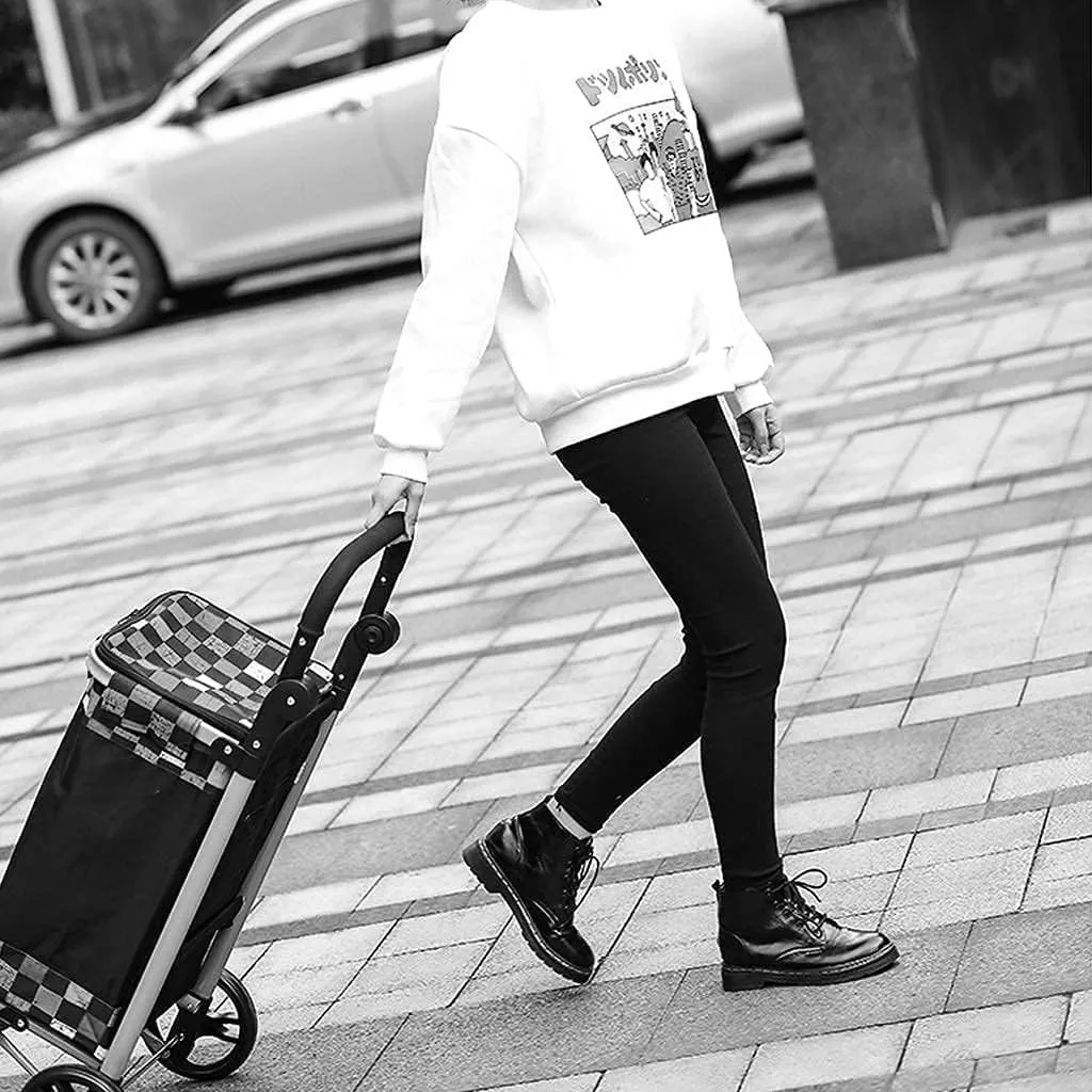 Folding Shopping Cart, Folding Shopping Trolley with 2 Wheels Shopping Cart Home Portable Grocery Supermarket Shopping Cart Elderly Grocery Utility Carts(B)