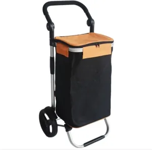 Folding Shopping Cart, Folding Shopping Trolley with 2 Wheels Shopping Cart Home Portable Grocery Supermarket Shopping Cart Elderly Grocery Utility Carts(B)