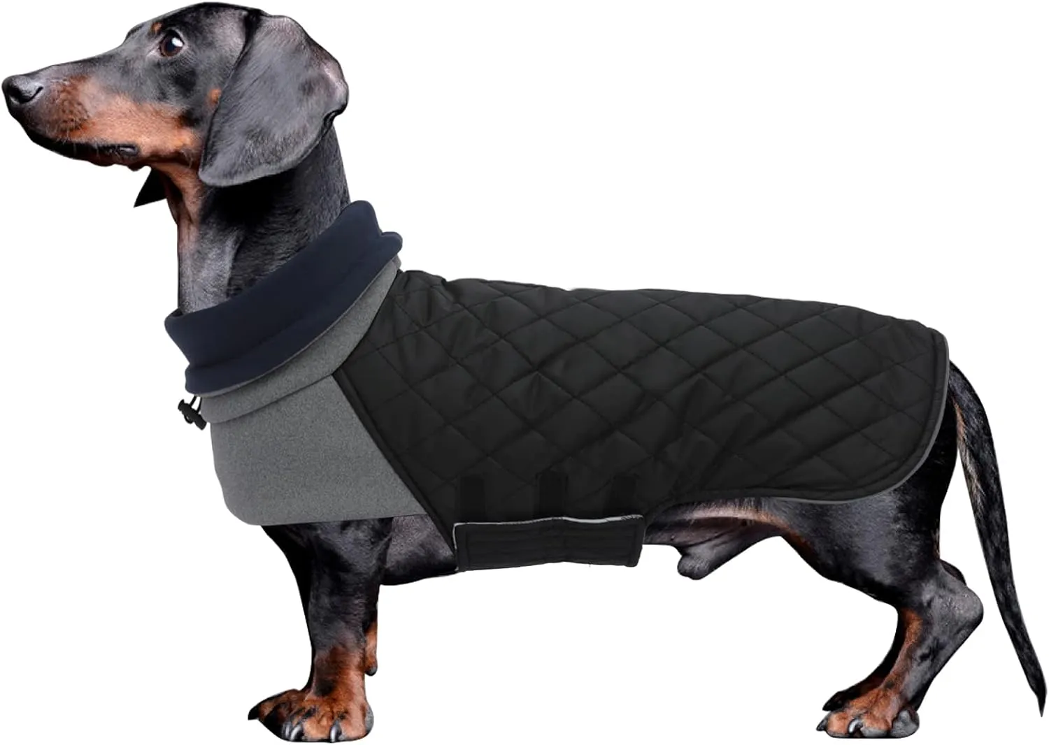 Geyecete Dachshund Coat,Dachshund Winter Coat,Warm Waterproof Windproof, High Neckine String Holes Miniature Dachshund Jacket for Small Dog-Black-M