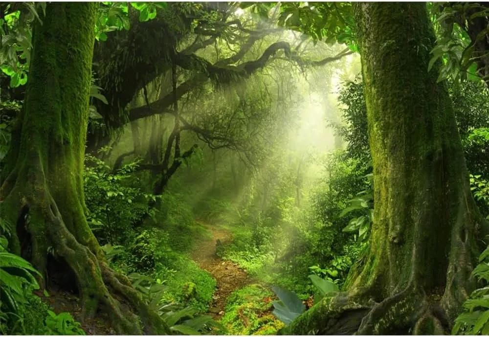 Leowefowa 10x7ft Jungle Forest Backdrop Old Trees Green Vine Dirt Road Fairytale Backdrops for Photography Vinyl Photo Background Kids Baby Portraits Studio Props