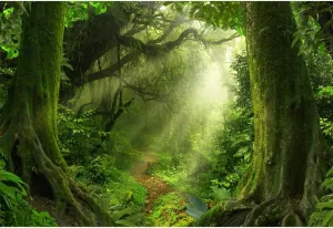 Leowefowa 10x7ft Jungle Forest Backdrop Old Trees Green Vine Dirt Road Fairytale Backdrops for Photography Vinyl Photo Background Kids Baby Portraits Studio Props