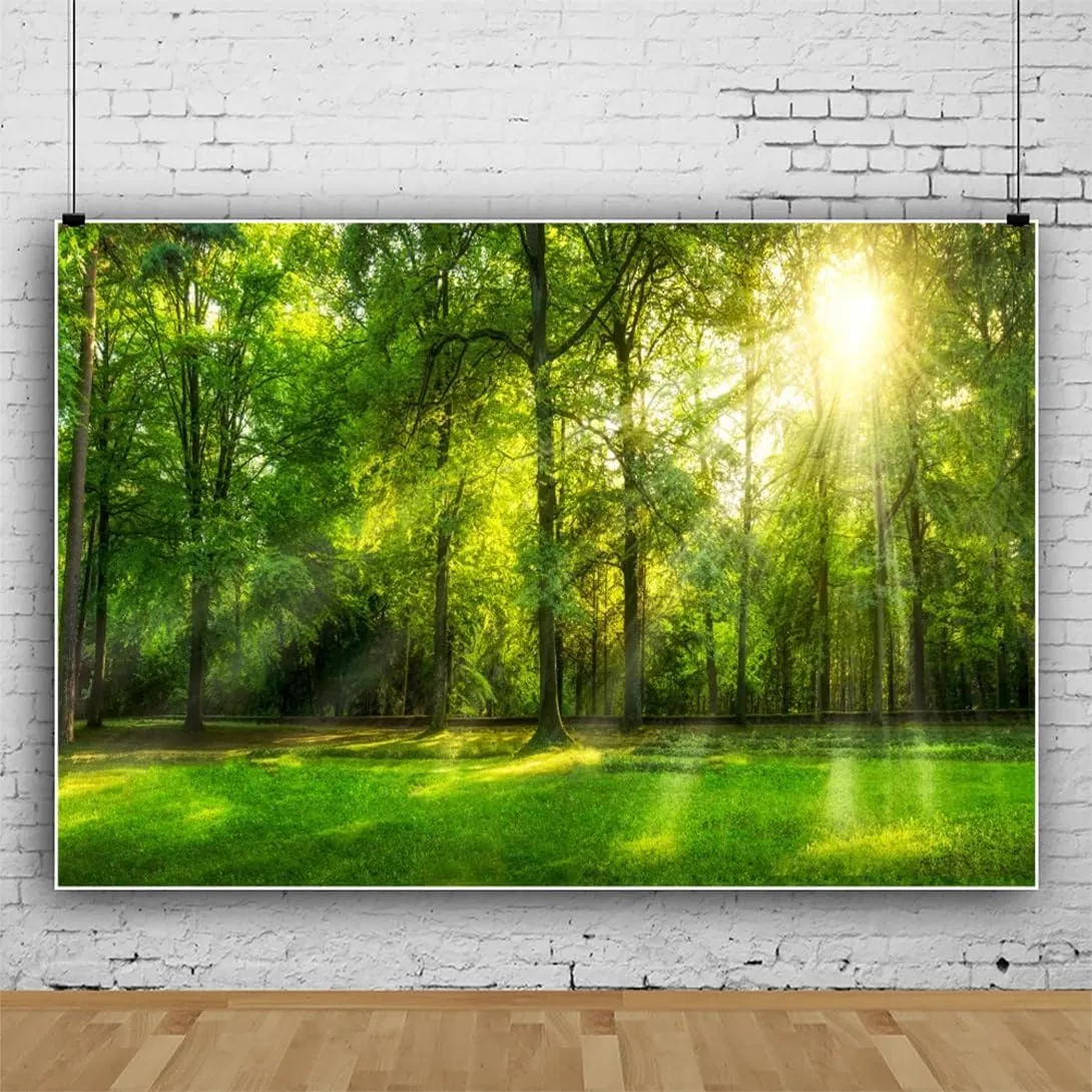 Leowefowa 15x10ft Spring Backdrop Jungle Forest Trees Backdrops for Photography Sunshine Rays Green Grassland Nature Outdoor Vinyl Photo Background Kids Adults Studio Props