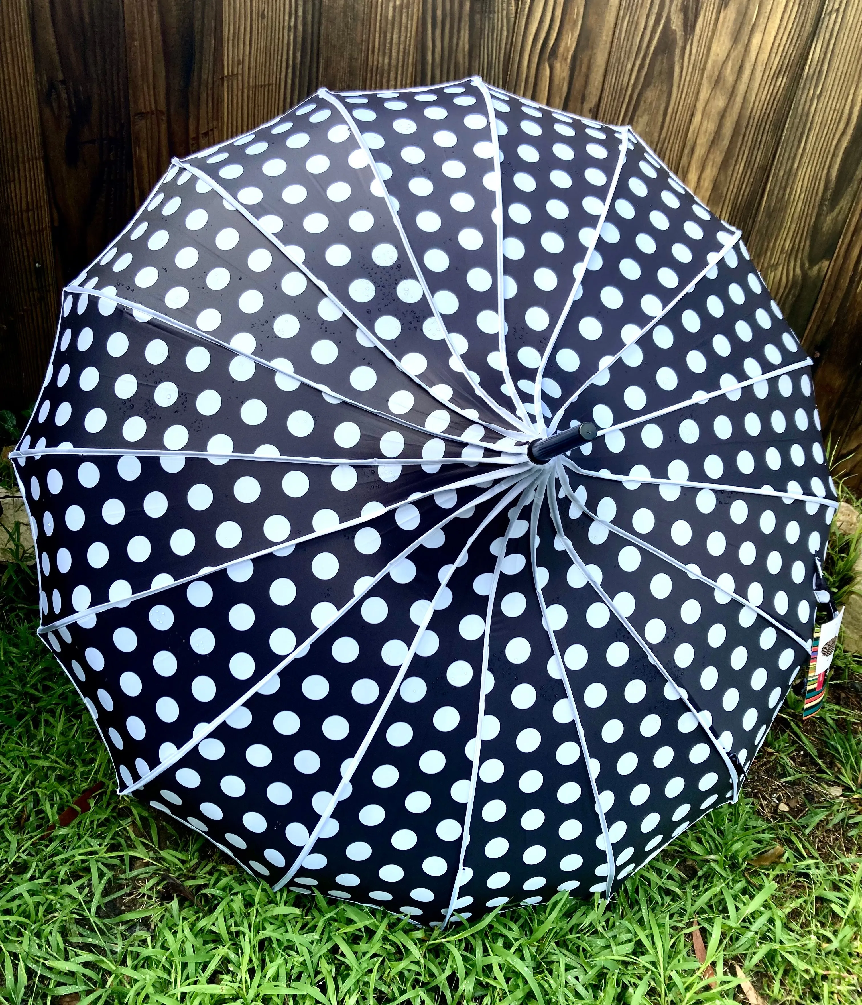 Lilly Black Pagoda Umbrella | Blackout and Anti-UV | Large Polka Dots