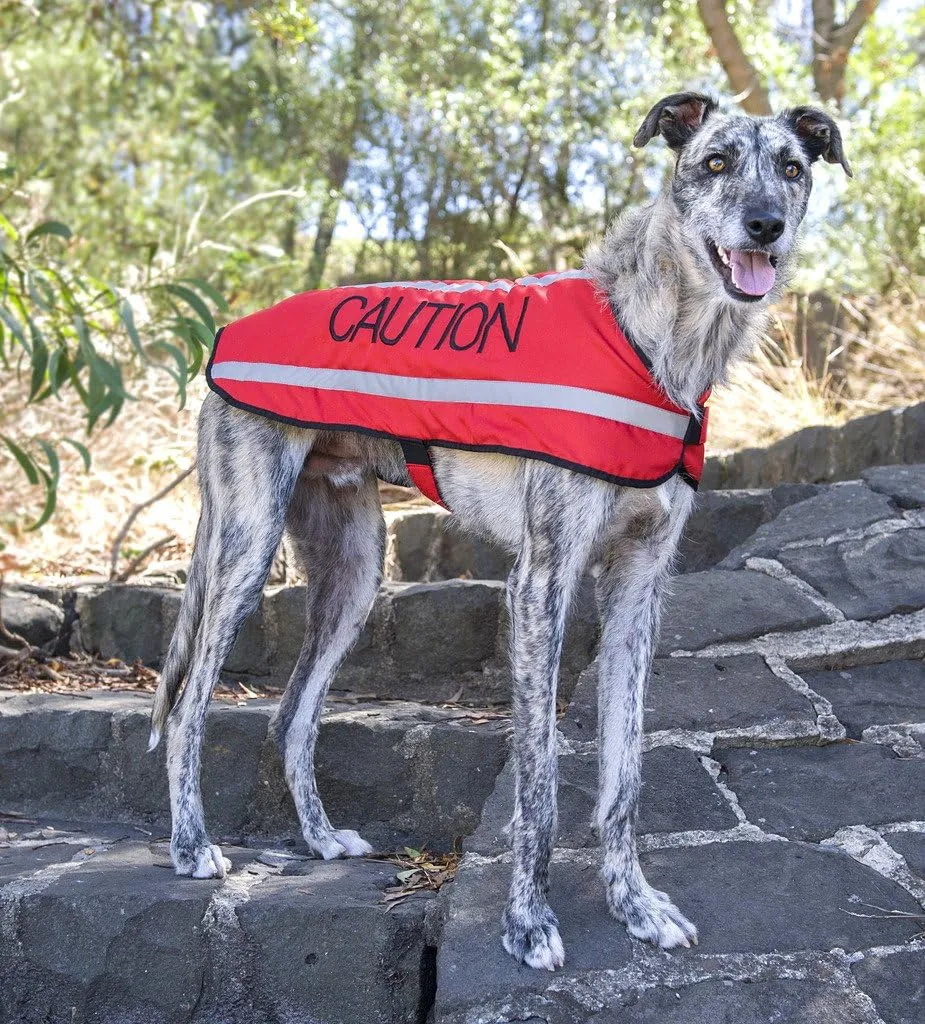 Limited Caution Red S-M M-L L-XL Warm Dog Coats Waterproof Reflective Fleece Lined (Do Not Approach) Prevents Accidents by Warning Others of Your Dog in Advance (L-XL Back 23" (59cm)