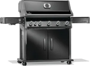 Napoleon Rogue® PRO 625 Propane Gas Grill with Infrared Side Burner, Black - RP625SIBPK-2