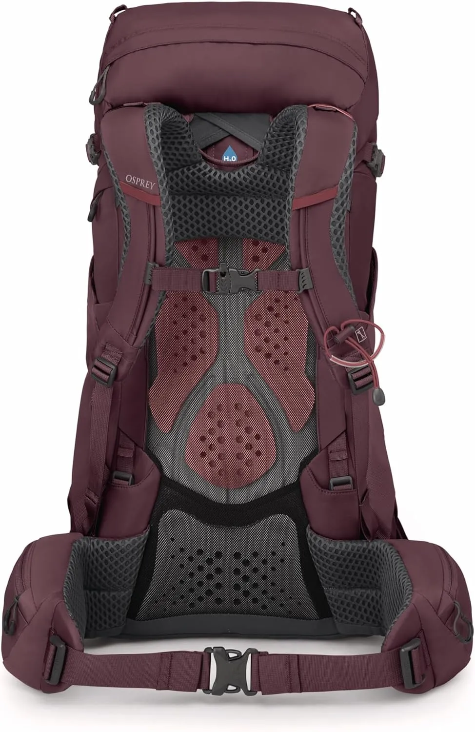 Osprey Kyte 38L Women's Backpacking Backpack with Hipbelt