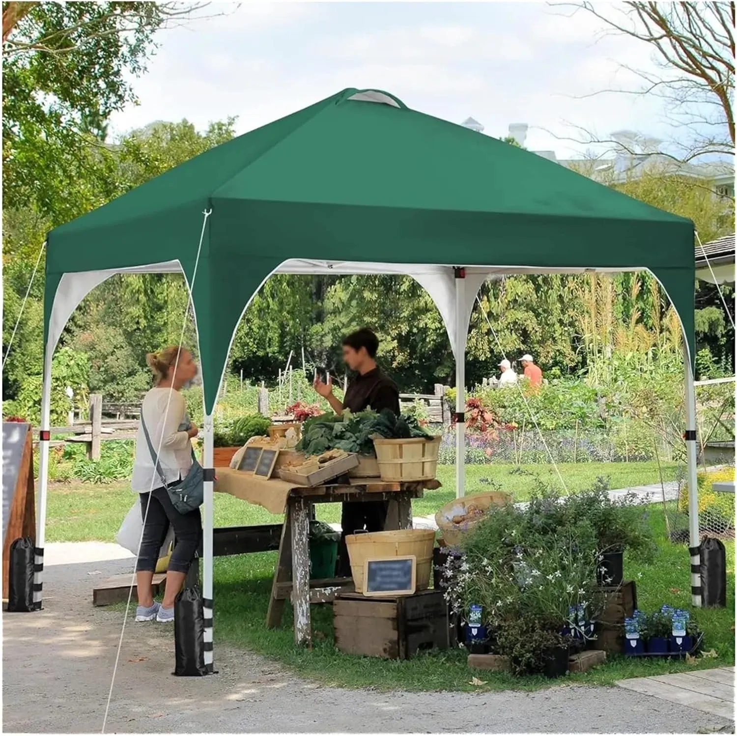 Outdoor Pop Up Tent 10x10 Pop Up Canopy Tent with Vent, Easy Set Up Tent, Instant Sun Shelter Canopy with Wheeled Bag, 4 Sandbags, 12 Stakes(Color3)
