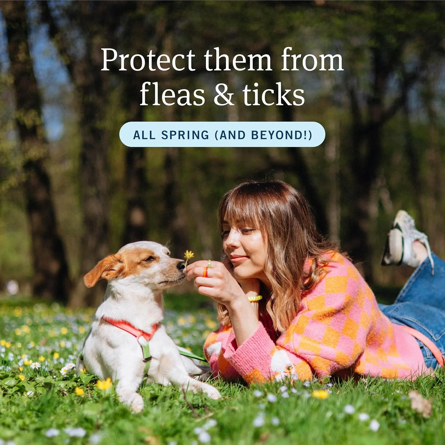 PetArmor Plus Flea and Tick Prevention for Dogs, Dog Flea and Tick Treatment, 6 Doses, Waterproof Topical, Fast Acting, Large Dogs Dogs (45-88 lbs)