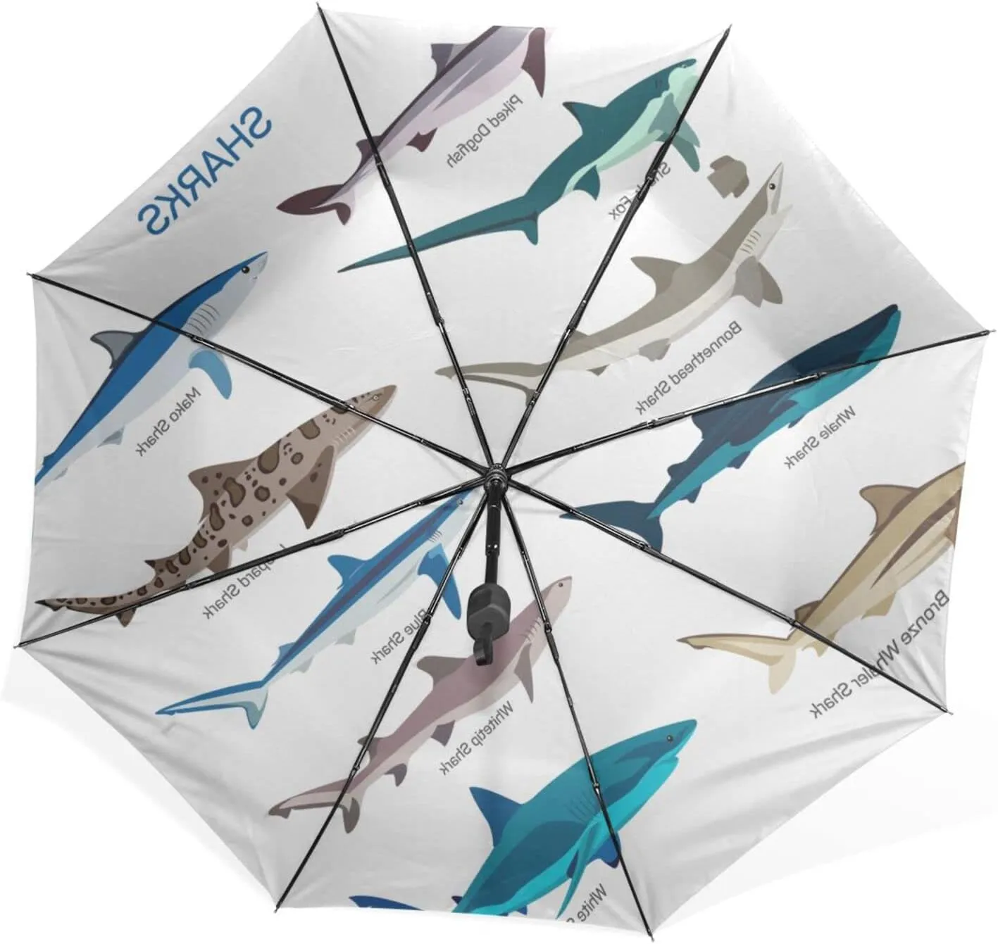 Poeticcity Rain Travel Umbrella, Hand Open Close Windproof Waterproof Folding Umbrella, Compact Canopy Strong Ray Parasol Umbrella